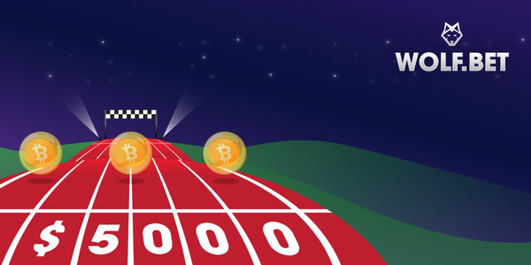 Wolfbet-kilpailu